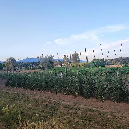 Casetta Rosagi A Lukka